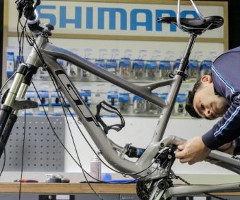 Rebuilding a bike from the frame up store